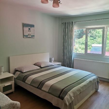 Apartmán Montana Slanic Exteriér fotografie