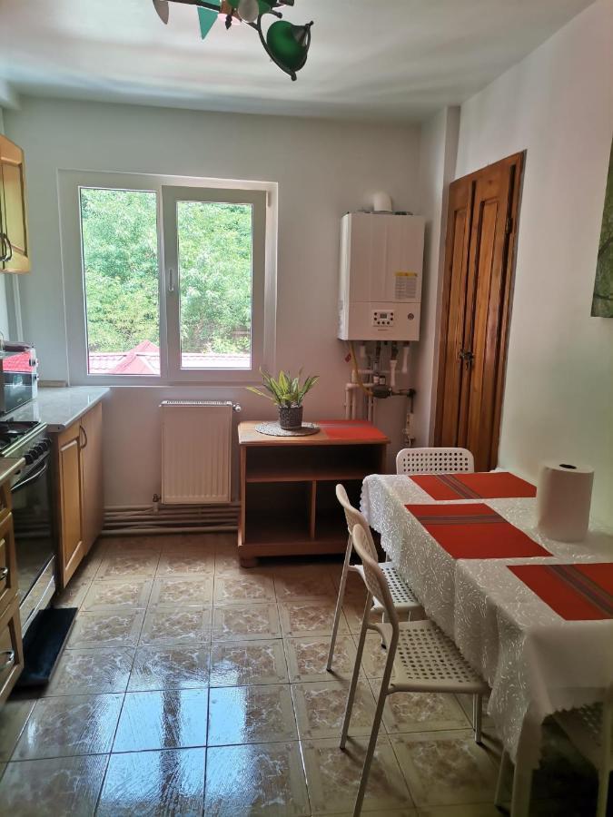 Apartmán Montana Slanic Exteriér fotografie