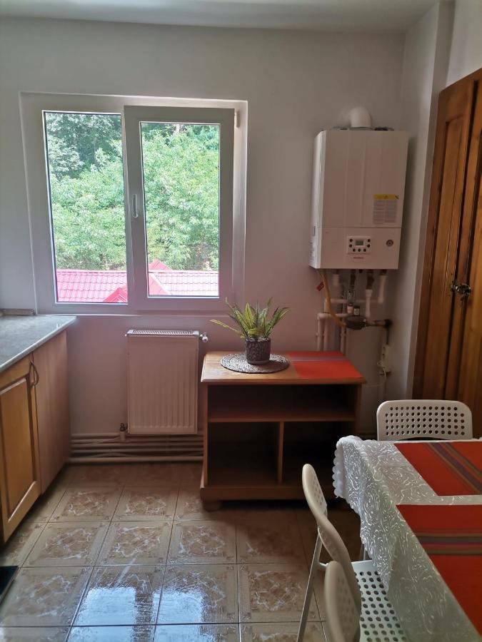 Apartmán Montana Slanic Exteriér fotografie